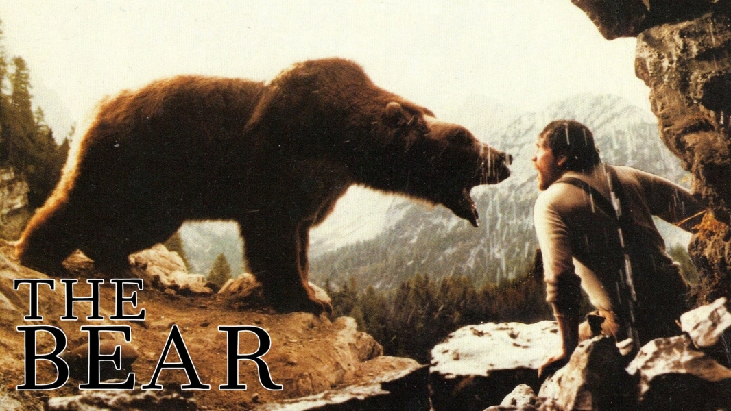 The Bear