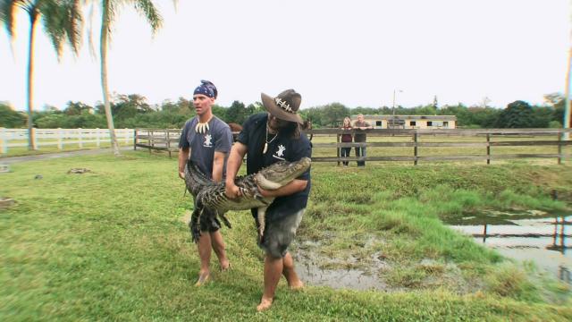 Gator Boys