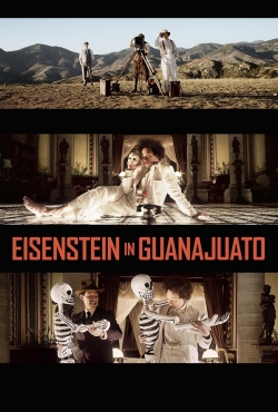 Eisenstein in Guanajuato