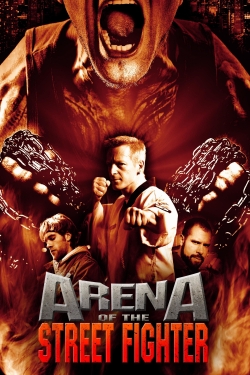 Arena of the Street Fighter